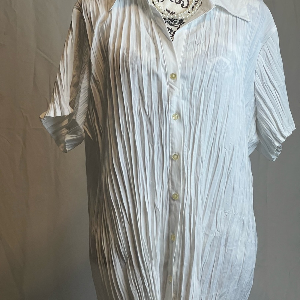 White button down - Picture 2 of 4